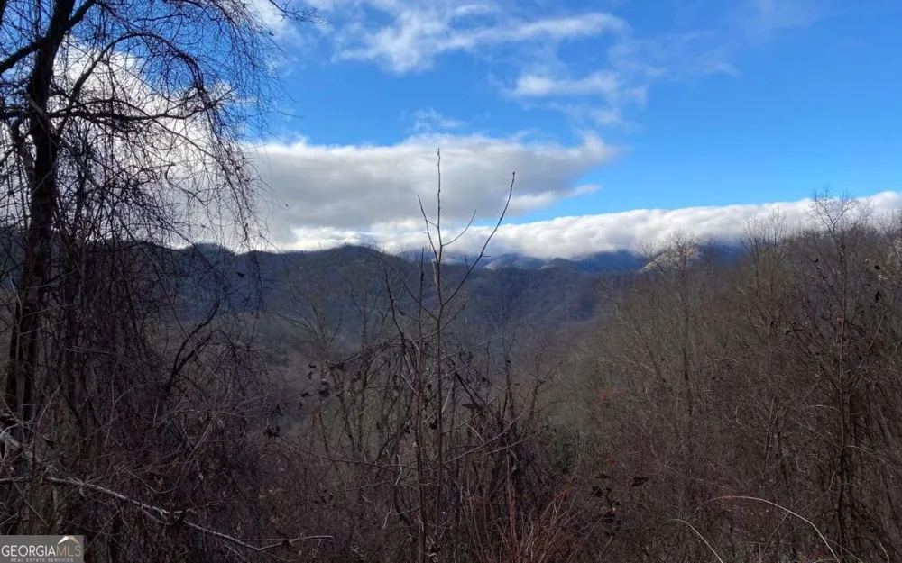 LOT OFF Buck Naked Bryson City, NC 28713