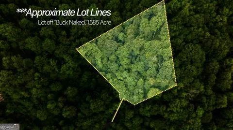 LOT OFF Buck Naked