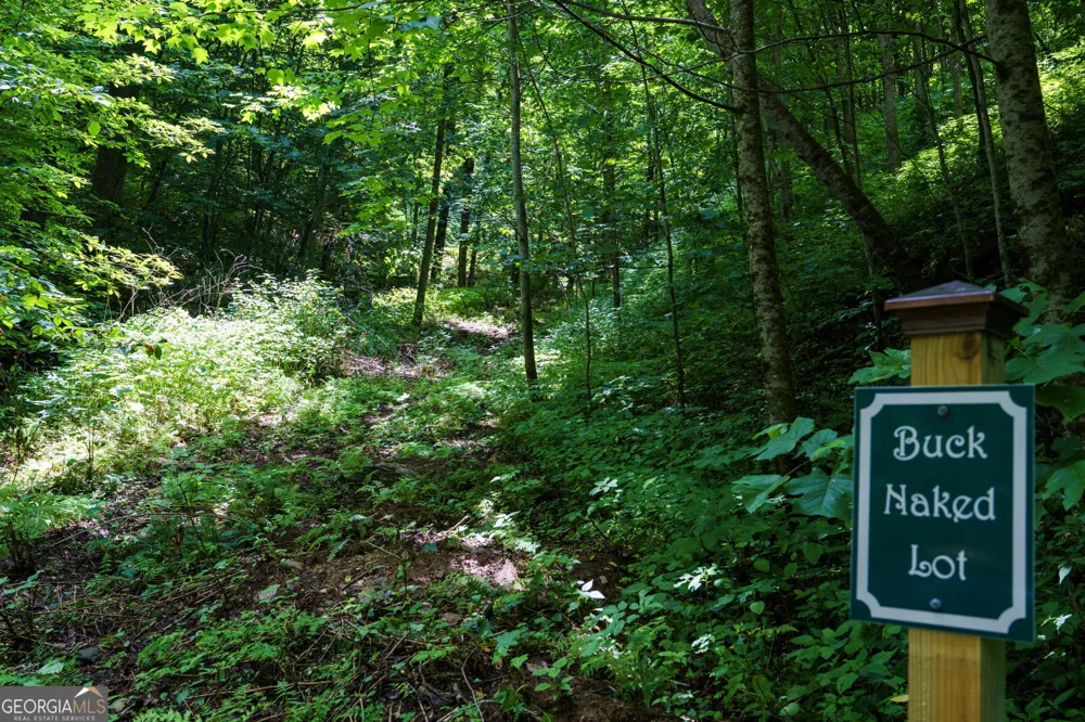 LOT OFF Buck Naked Bryson City, NC 28713