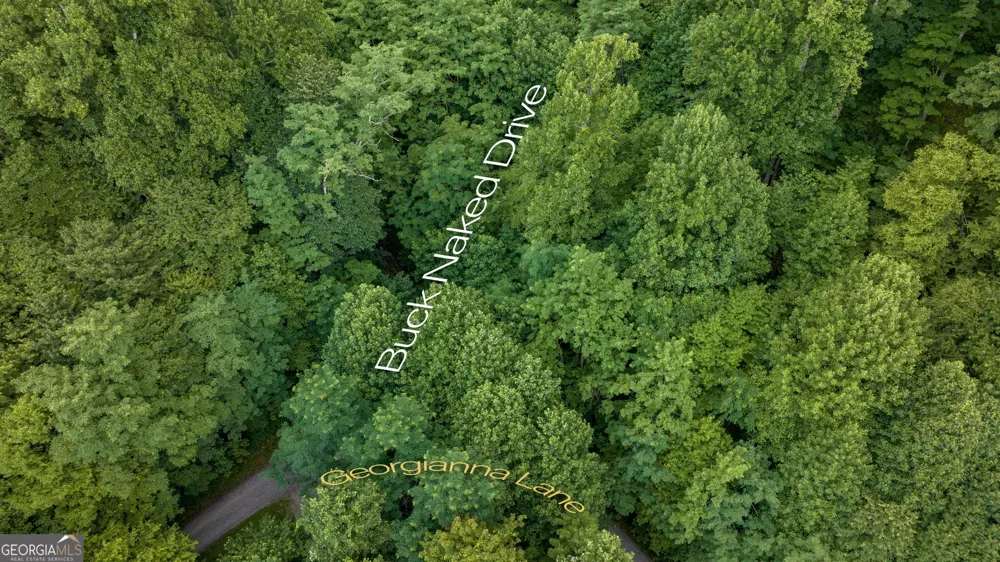 LOT OFF Buck Naked Bryson City, NC 28713