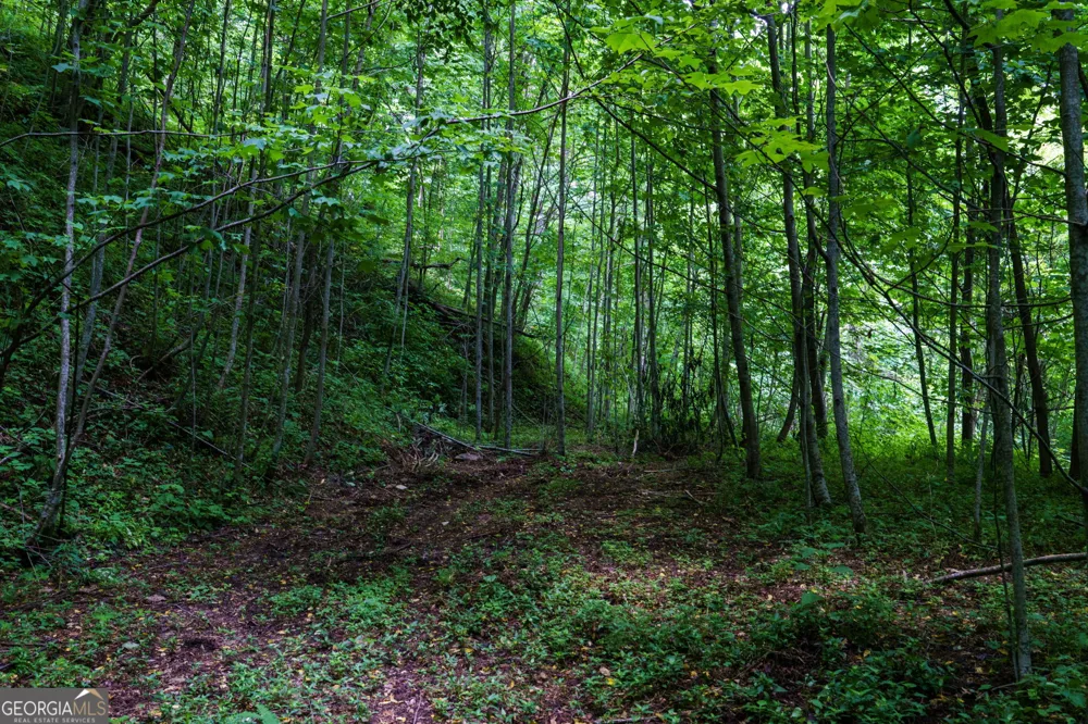 LOT OFF Buck Naked Bryson City, NC 28713