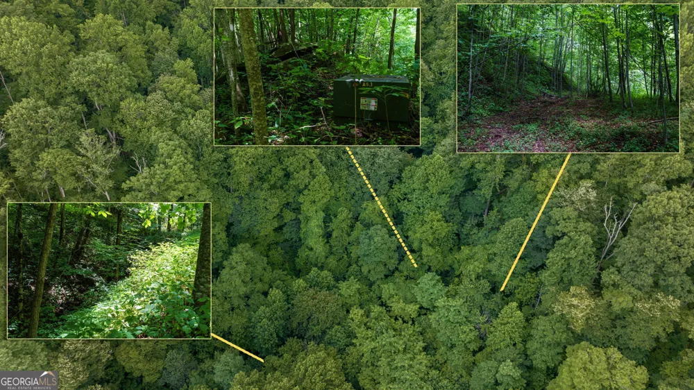 LOT OFF Buck Naked Bryson City, NC 28713