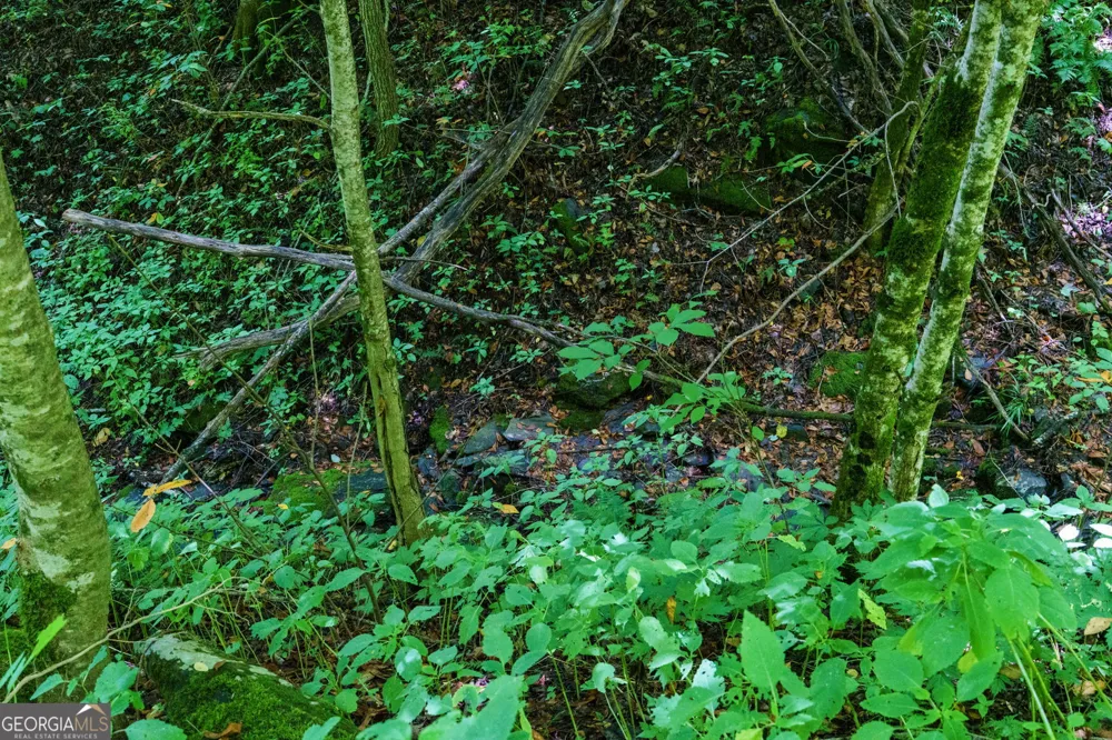 LOT OFF Buck Naked Bryson City, NC 28713