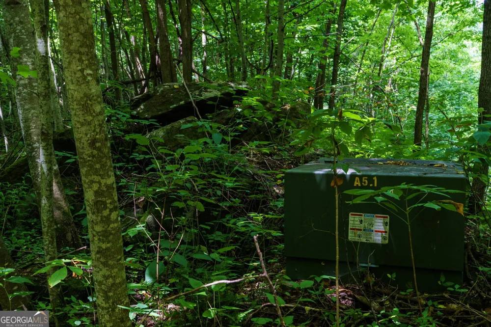 LOT OFF Buck Naked Bryson City, NC 28713