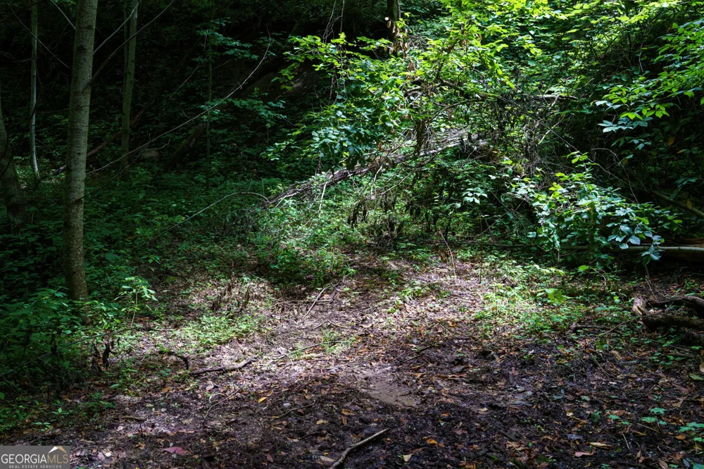 LOT OFF Buck Naked Bryson City, NC 28713