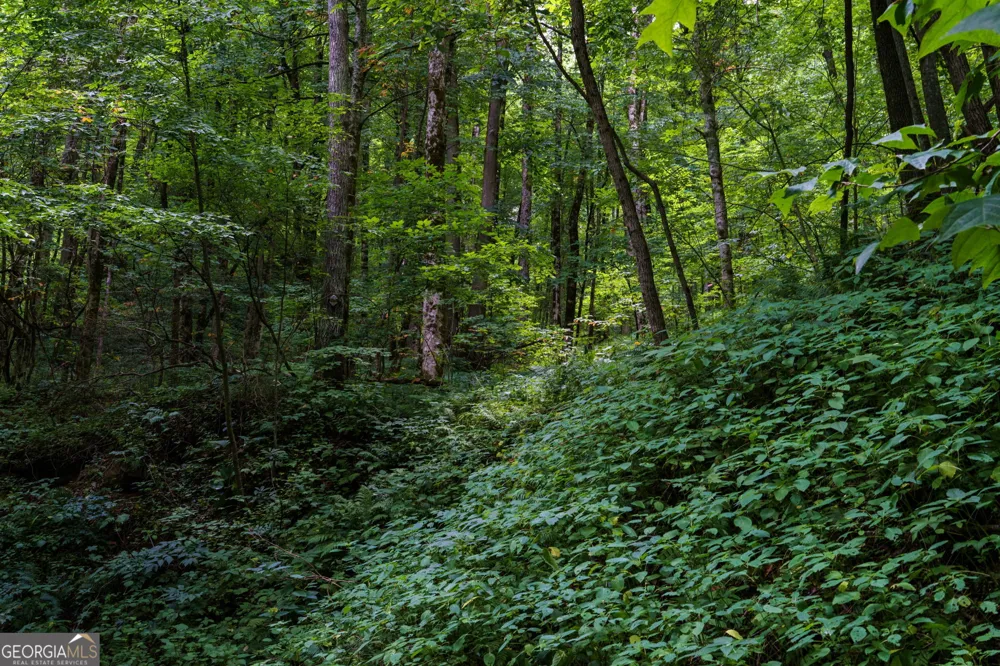 LOT OFF Buck Naked Bryson City, NC 28713