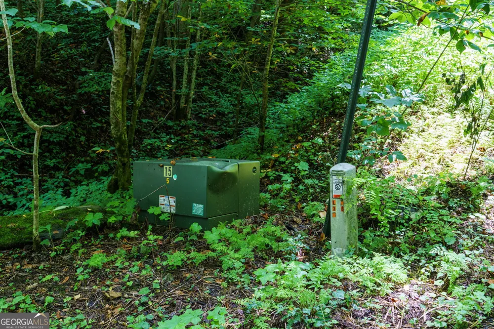 LOT OFF Buck Naked Bryson City, NC 28713