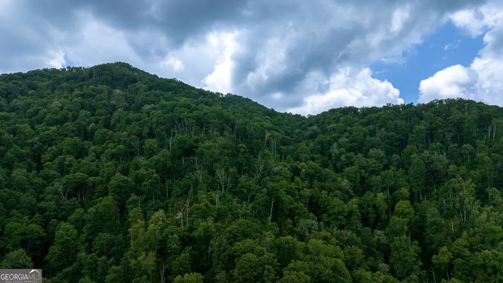 LOT OFF Buck Naked Bryson City, NC 28713