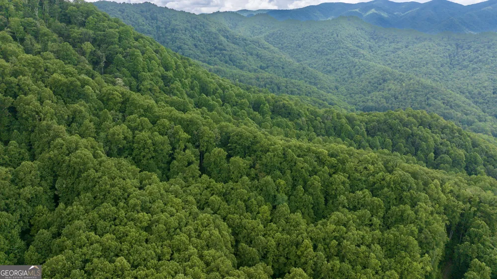 LOT OFF Buck Naked Bryson City, NC 28713