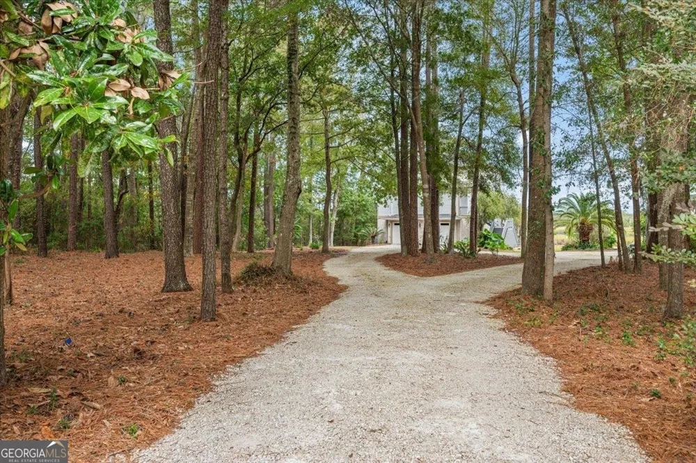 1579 NE Julienton DR Townsend, GA 31331