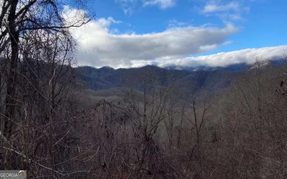 LOT J1 Georgianna LN Bryson City, NC 28713