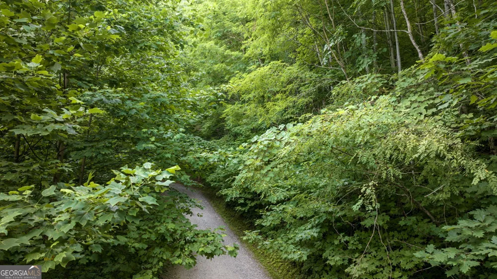 LOT J1 Georgianna LN Bryson City, NC 28713