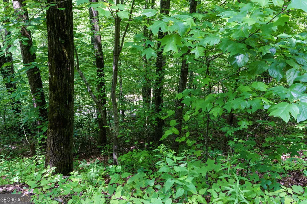 LOT J1 Georgianna LN Bryson City, NC 28713