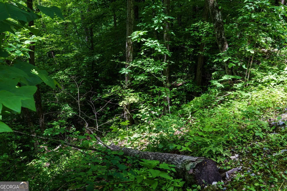 LOT J1 Georgianna LN Bryson City, NC 28713