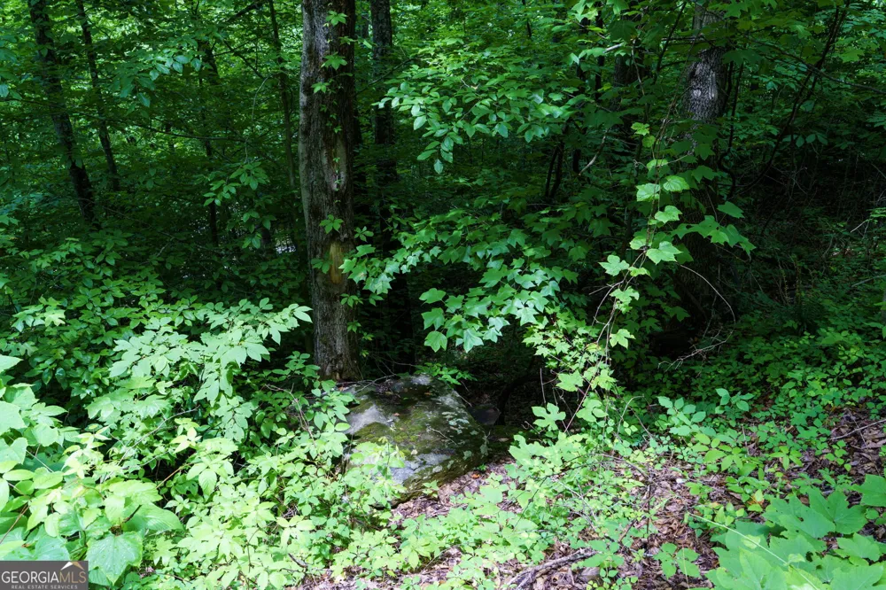 LOT J1 Georgianna LN Bryson City, NC 28713