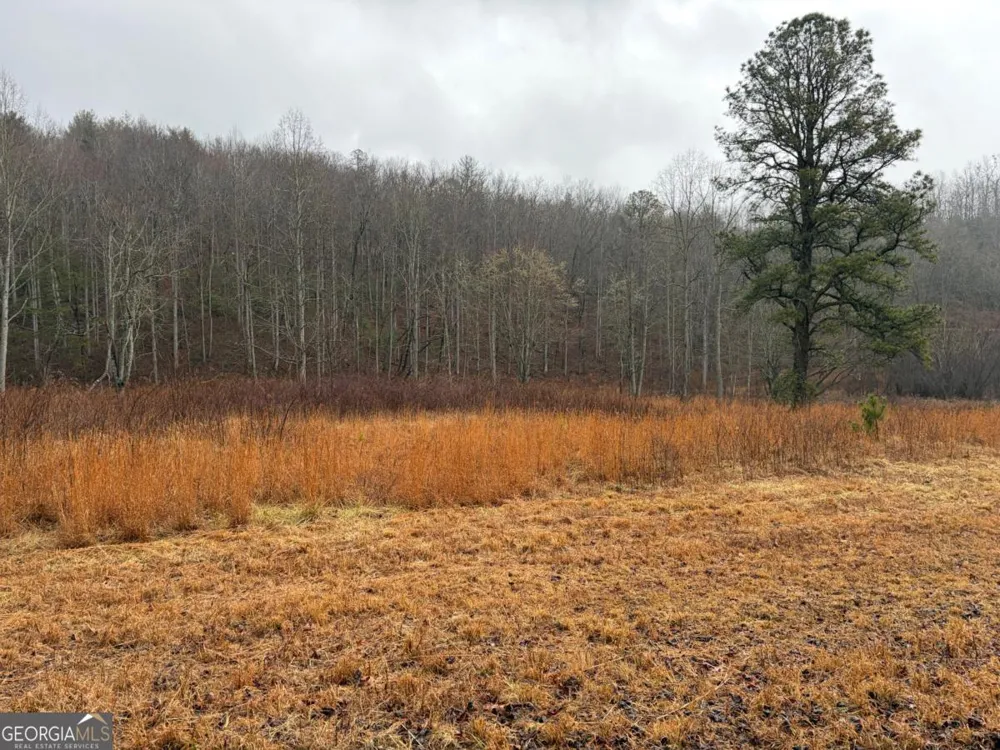 LOT 42 Whisper Woods RD Hiawassee, GA 30546