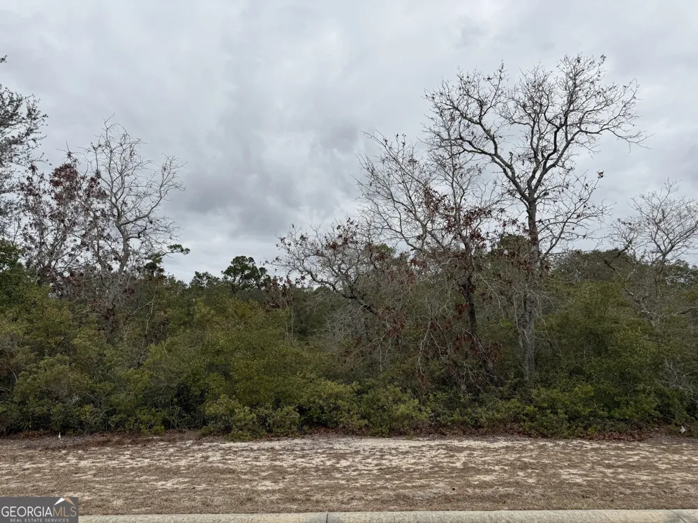 0 Plantation Pines DR Blackshear, GA 31516