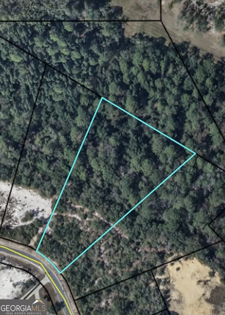 0 Plantation Pines DR Blackshear, GA 31516