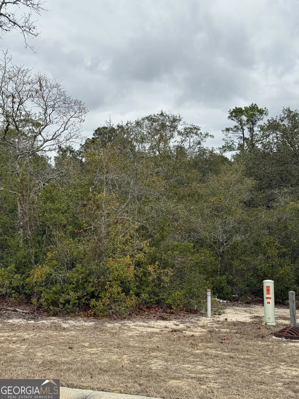 0 Plantation Pines DR Blackshear, GA 31516