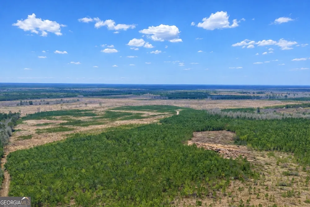 0 Highway 121 Glennville, GA 30427
