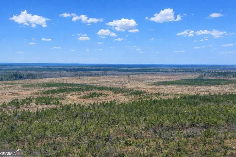 0 Highway 121 Glennville, GA 30427