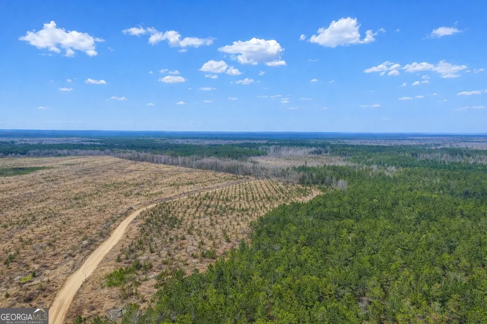 0 Highway 121 Glennville, GA 30427