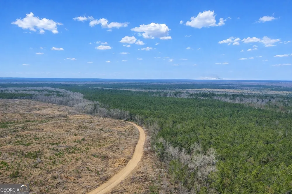 0 Highway 121 Glennville, GA 30427