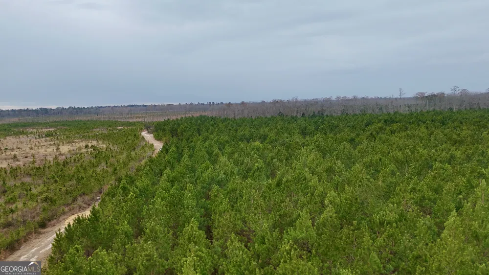 0 Highway 121 Glennville, GA 30427