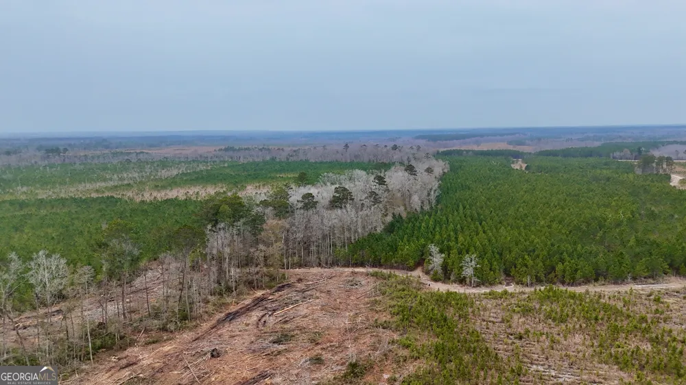 0 Highway 121 Glennville, GA 30427