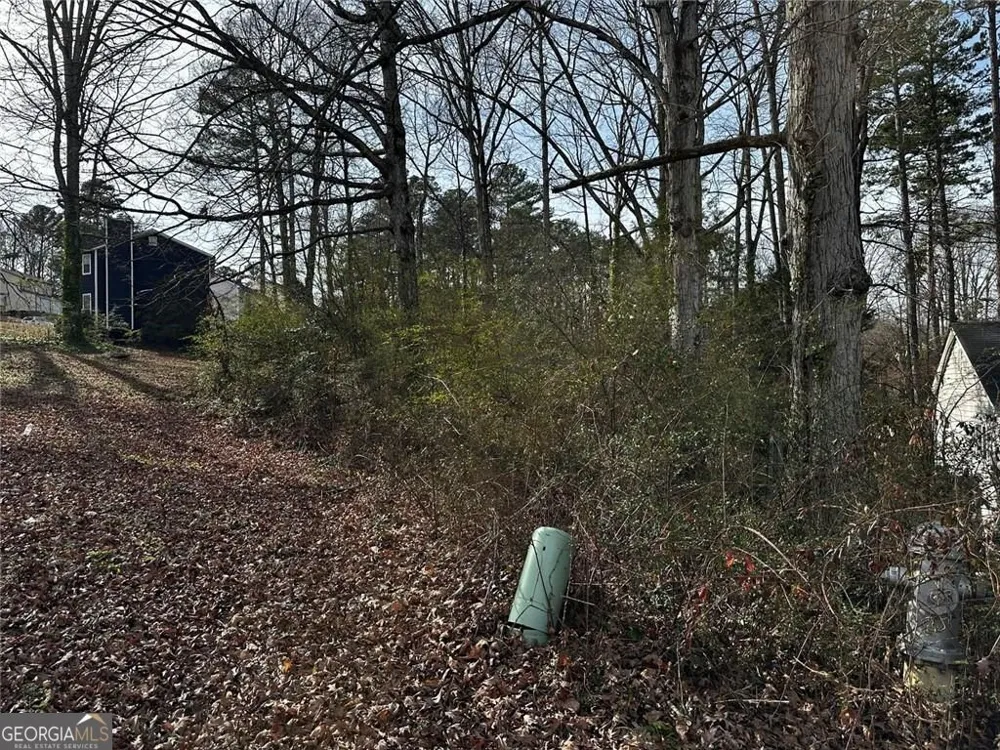 5566 La Fleur TRL Lithonia, GA 30038