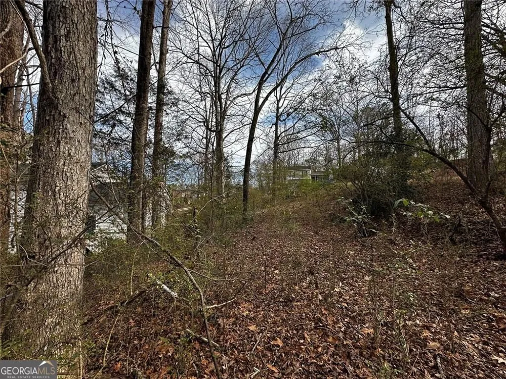 5566 La Fleur TRL Lithonia, GA 30038