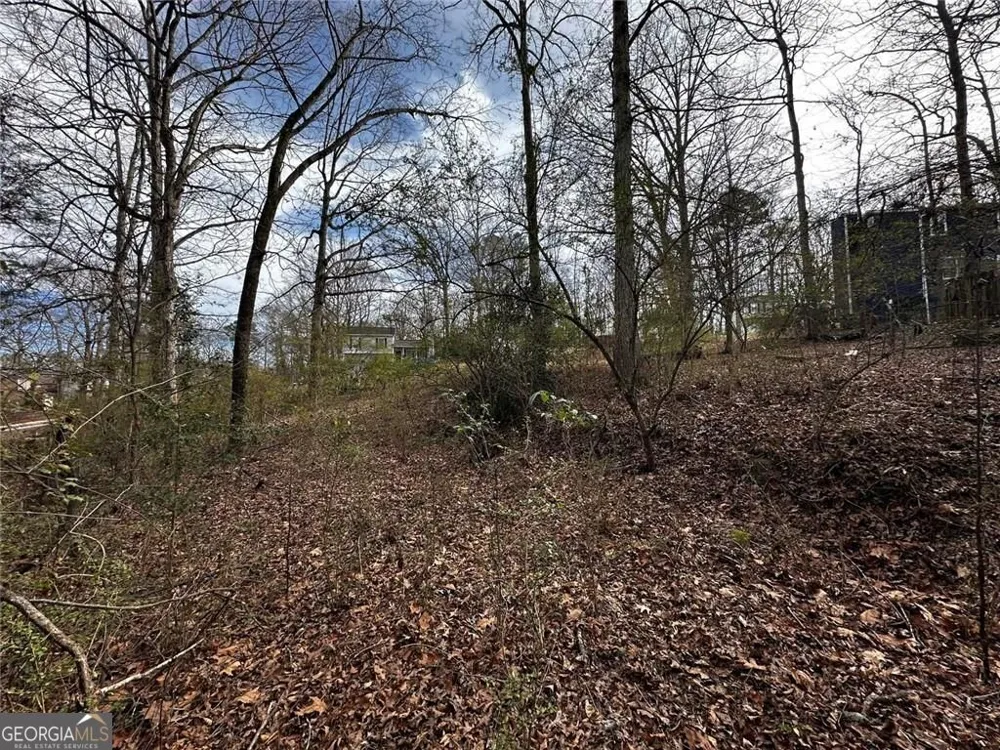 5566 La Fleur TRL Lithonia, GA 30038