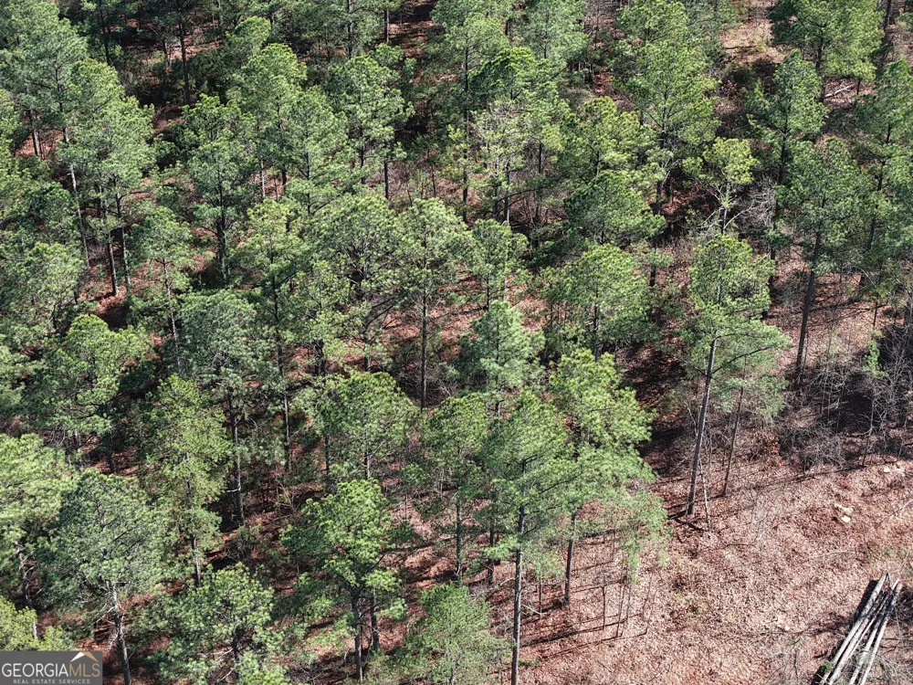 0 Rock Fence RD Adairsville, GA 30103