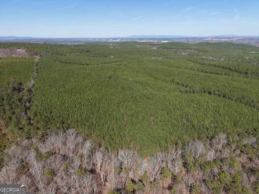 0 Rock Fence RD Adairsville, GA 30103