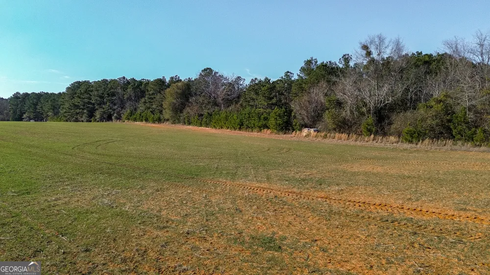 721 Thrasher RD Plains, GA 31780