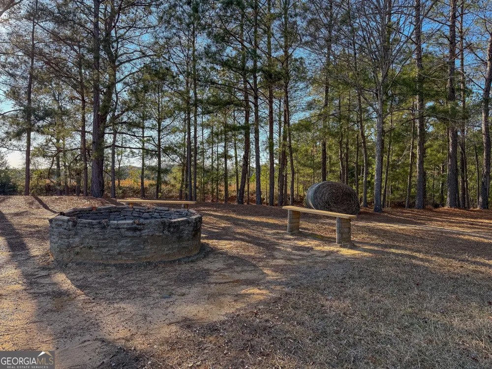 721 Thrasher RD Plains, GA 31780