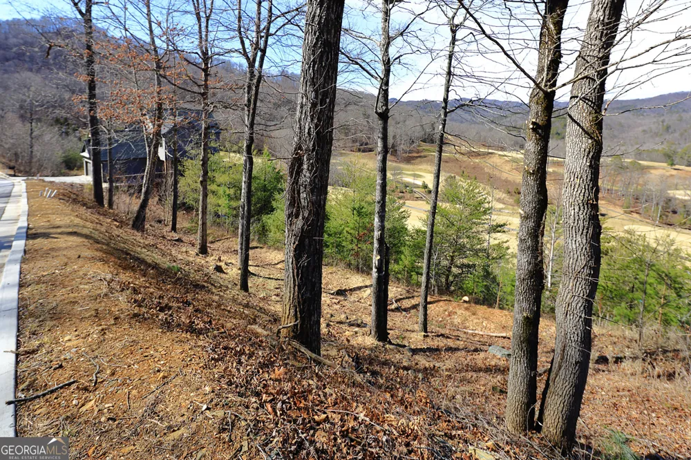 LOT J 41, BLOCK J Bent Grass WAY Clayton, GA 30525