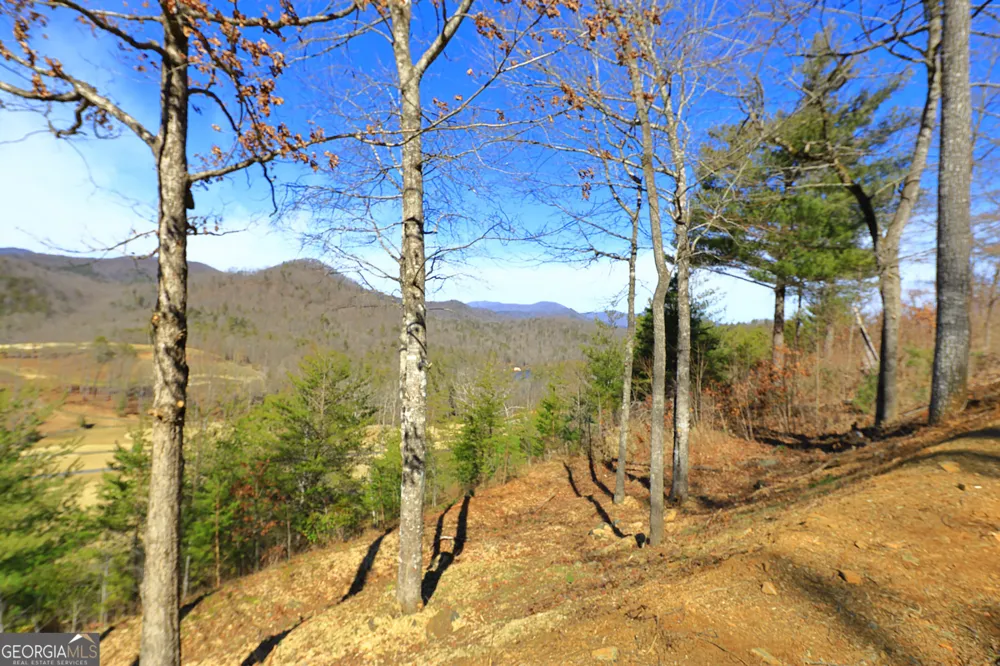 LOT J 41, BLOCK J Bent Grass WAY Clayton, GA 30525