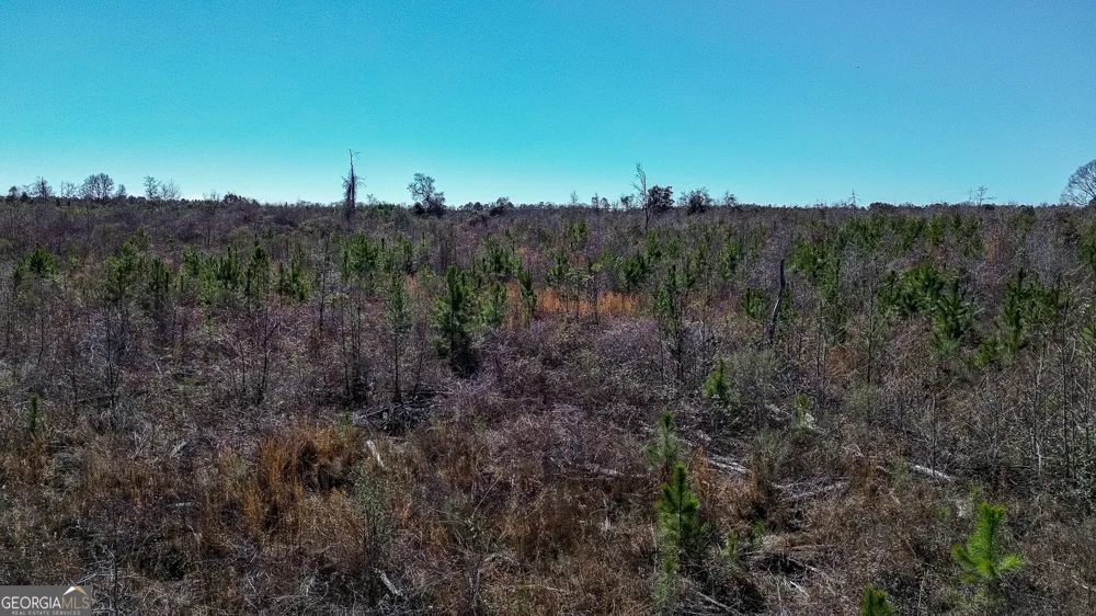 0 Kennedy Pond RD Dawson, GA 39842