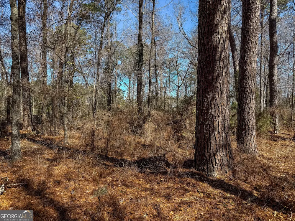 0 Kennedy Pond RD Dawson, GA 39842