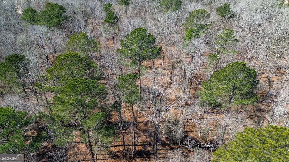 0 Kennedy Pond RD Dawson, GA 39842