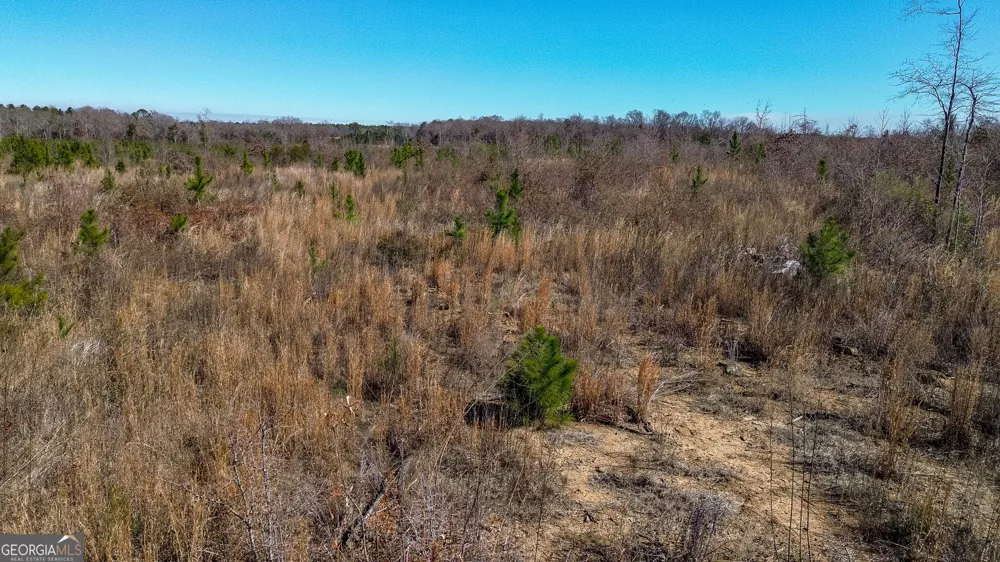 0 Kennedy Pond RD Dawson, GA 39842