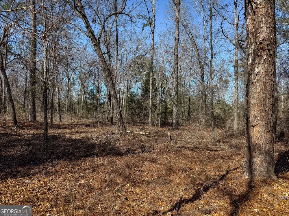 0 Kennedy Pond RD Dawson, GA 39842