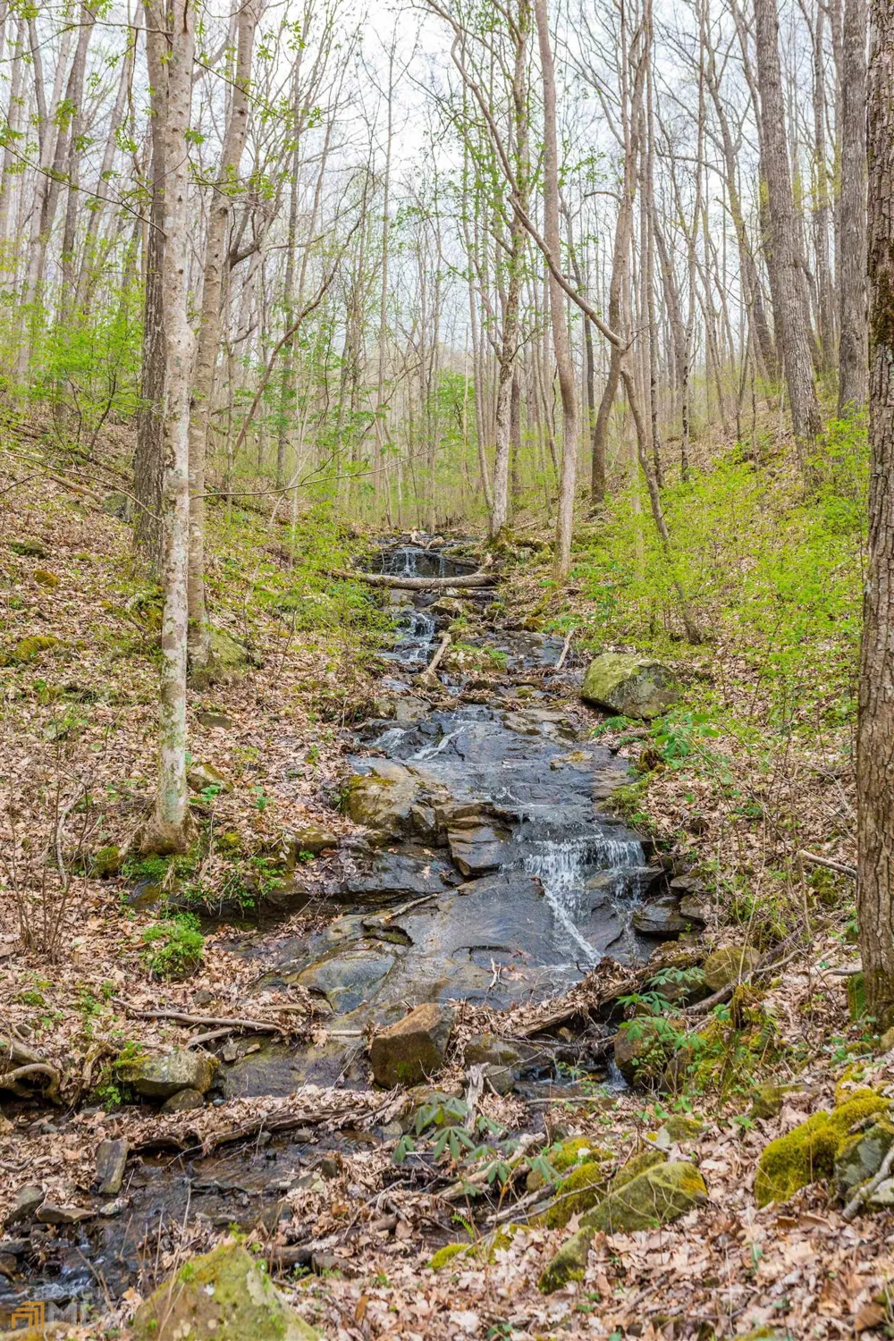 0 Rocky Knob Estates Young Harris, GA 30582
