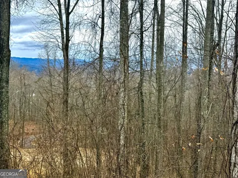 LOT 7 Rocky Knob DR