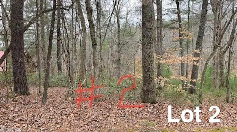 LOT 2 Reserve Trail Stuart, VA 24171