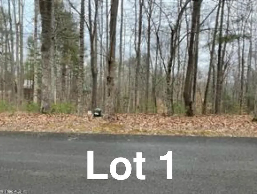 LOT 1 Reserve Trail Stuart, VA 24171