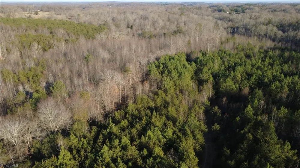 0 Mulberry Academy Street Franklinville, NC 27248
