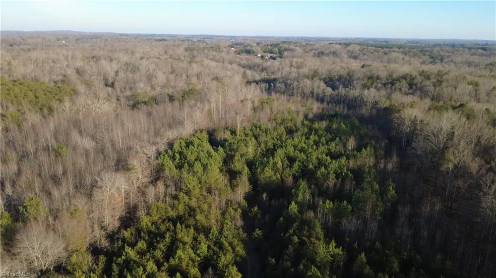 0 Mulberry Academy Street Franklinville, NC 27248