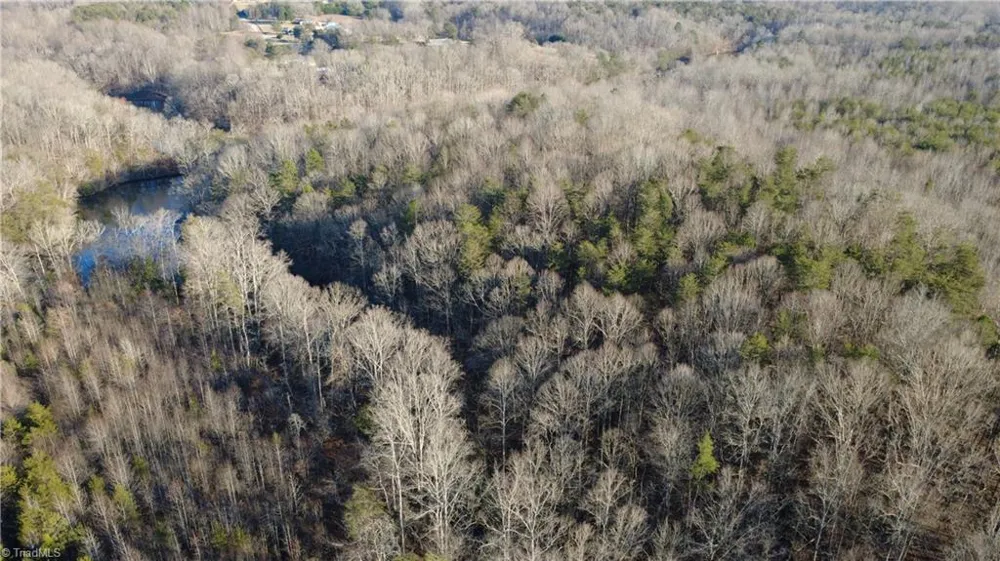 0 Mulberry Academy Street Franklinville, NC 27248